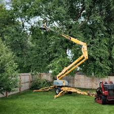 Best Lawn Grading and Leveling  in Attla, AL